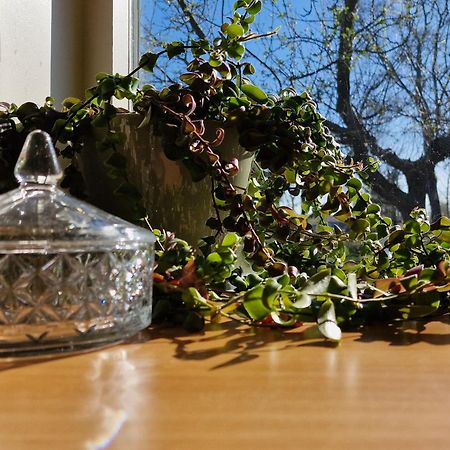 Whispering O - B&B Ermelo Speuld On The Veluwe エクステリア 写真