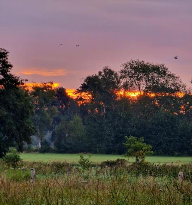 Whispering O - B&B Ermelo Speuld On The Veluwe エクステリア 写真
